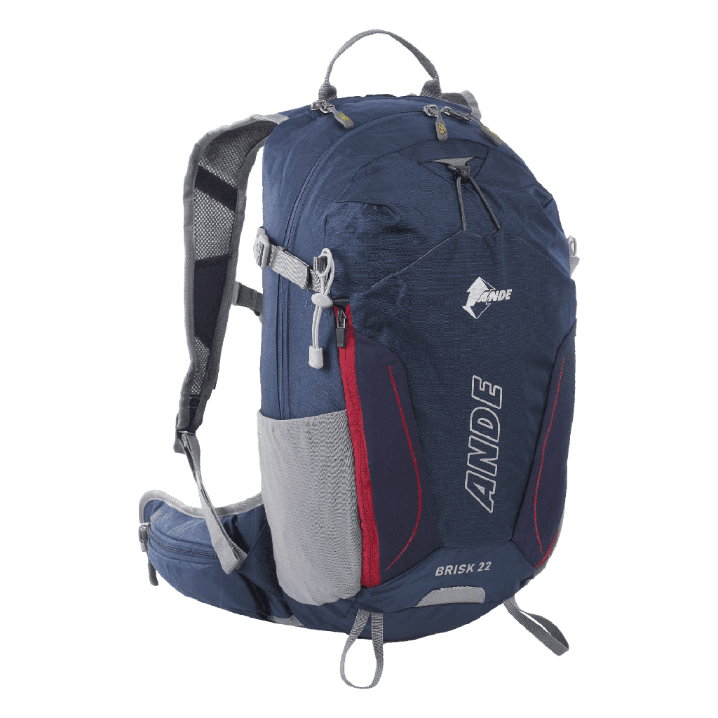 [272346] Plecak Brisk 22