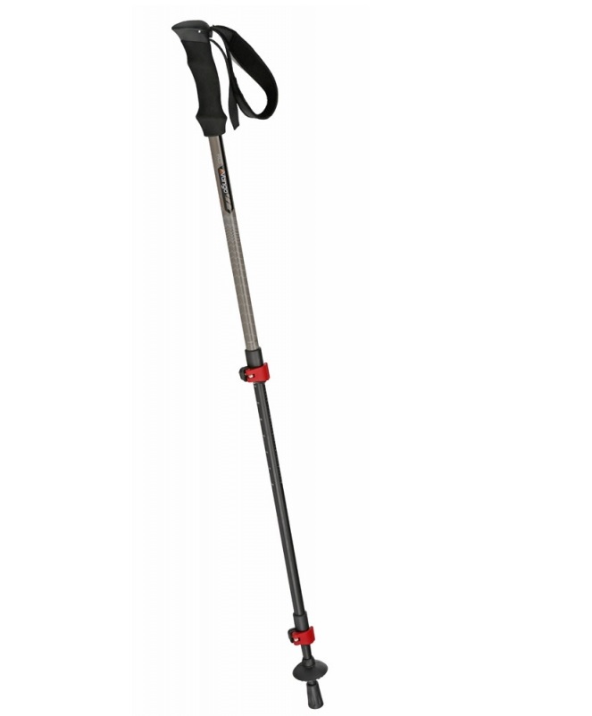 Kije trekkingowe Pico 65-135cm